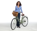 North Shore Cedar Cove - Promo S.01 