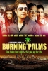 North Shore Burning Palms 