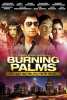 North Shore Burning Palms 