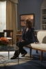 North Shore State of Affairs - Stills S.01 