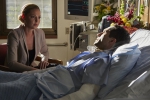 North Shore State of Affairs - Stills S.01 