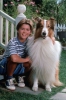North Shore Lassie 