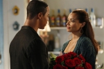 North Shore Mistresses - Stills S.03 