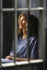 North Shore Mistresses - Stills S.03 
