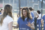 North Shore Mistresses - Stills S.03 